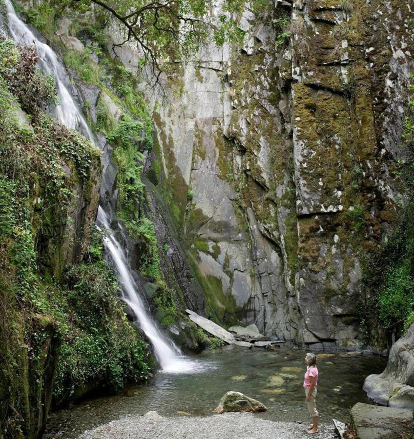A Pequena Casa Coja Central Portugal Mountains Экстерьер фото